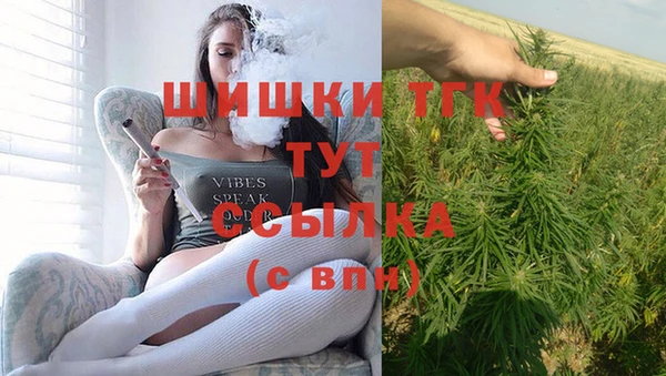 стаф Баксан