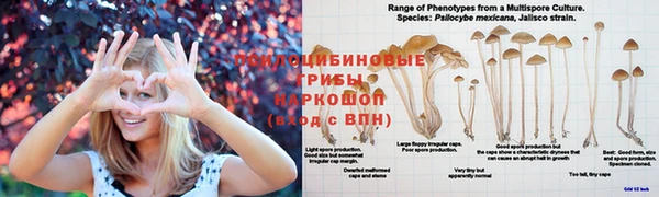 Альфа ПВП Бежецк