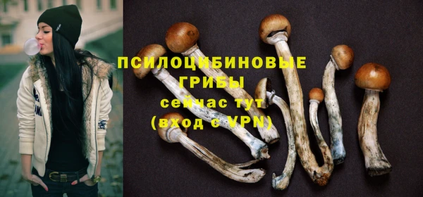 спиды Балахна