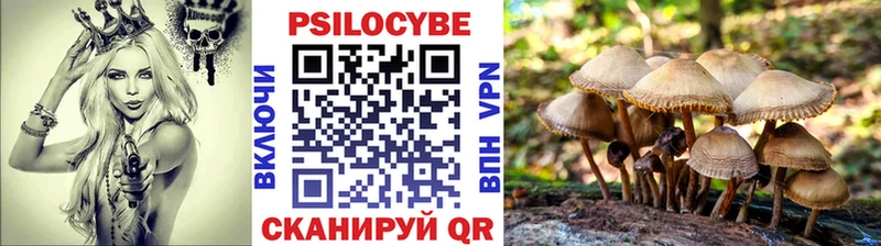 Галлюциногенные грибы ЛСД  Верхняя Пышма 