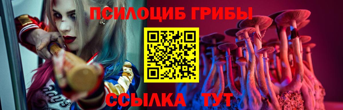 Псилоцибиновые грибы мицелий Верхняя Пышма