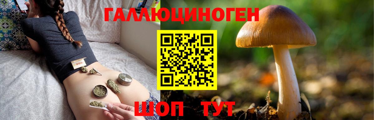 как найти наркотики  Вход с VPN  Верхняя Пышма  Галлюциногенные грибы Magic Shrooms 